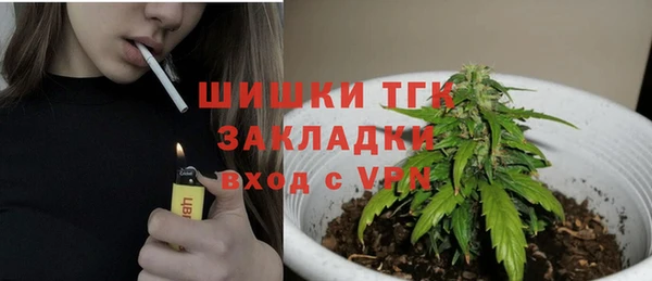 сатива Белоозёрский