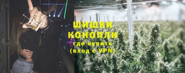 ГАЛЛЮЦИНОГЕННЫЕ ГРИБЫ Беломорск