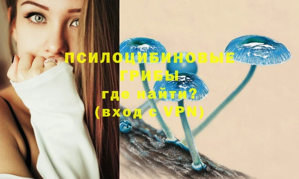 прущий лед Балахна