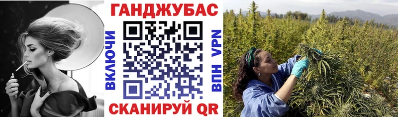 Конопля сатива  Няндома 